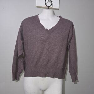 Light Purple V-Neck Sweater a New Day Size Small